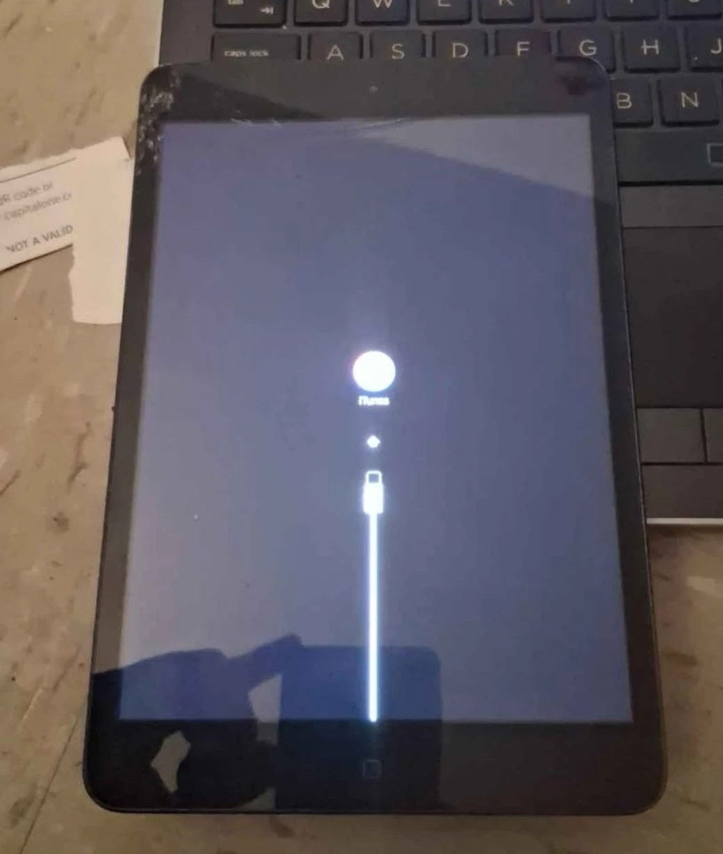 Apple iPad Mini (Restoration Mode)