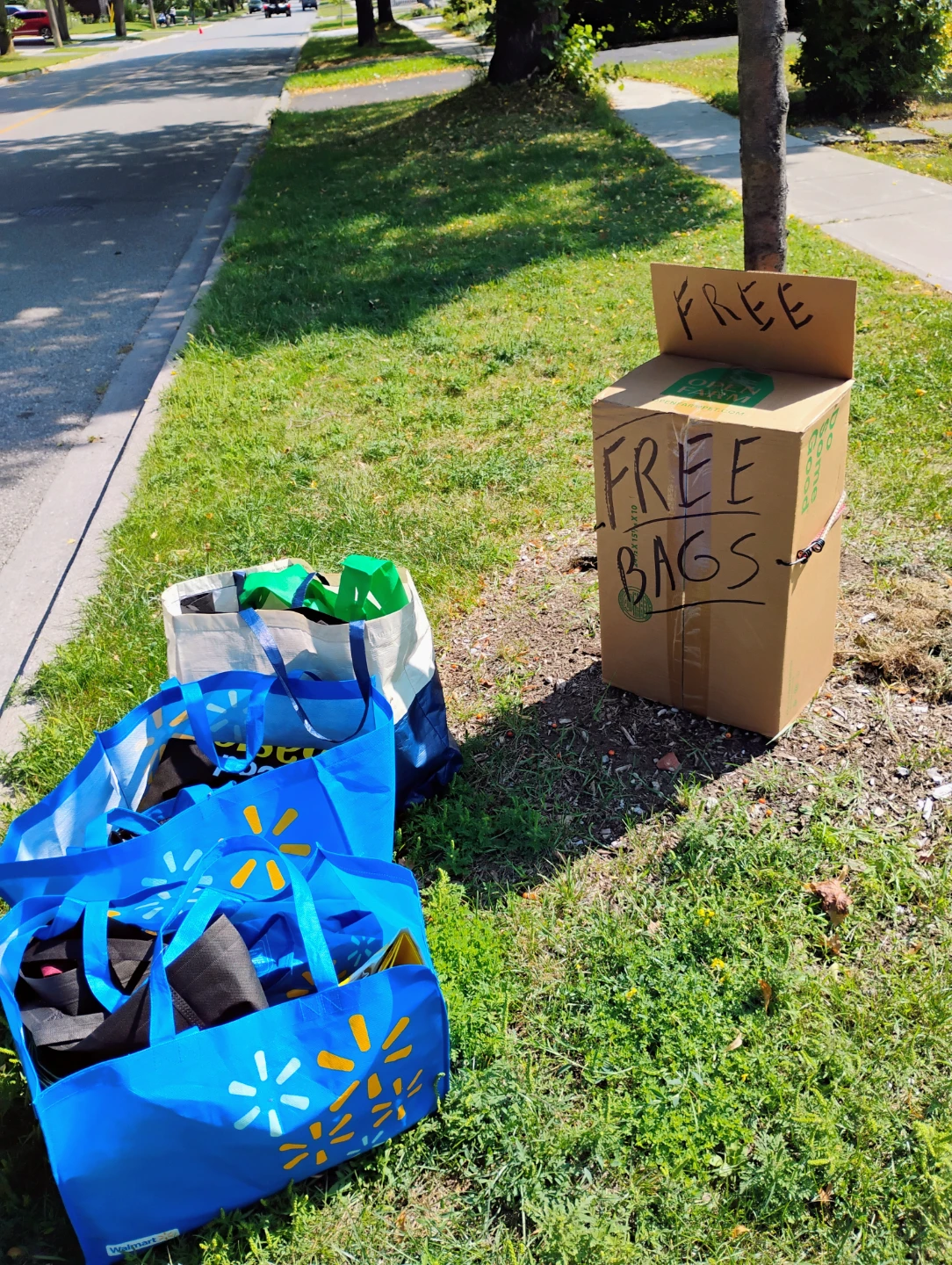 Free Reusable Bags