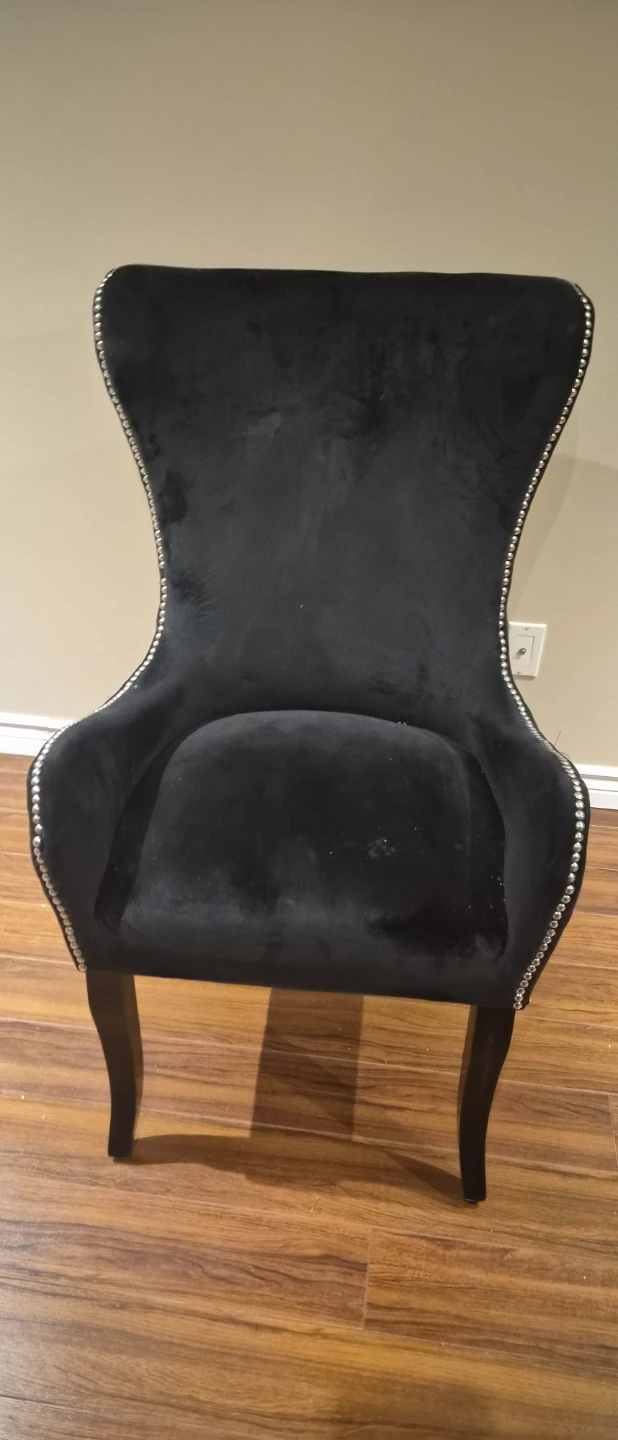 Black Velvet Accent Chair with Lion Knocker - photo 2