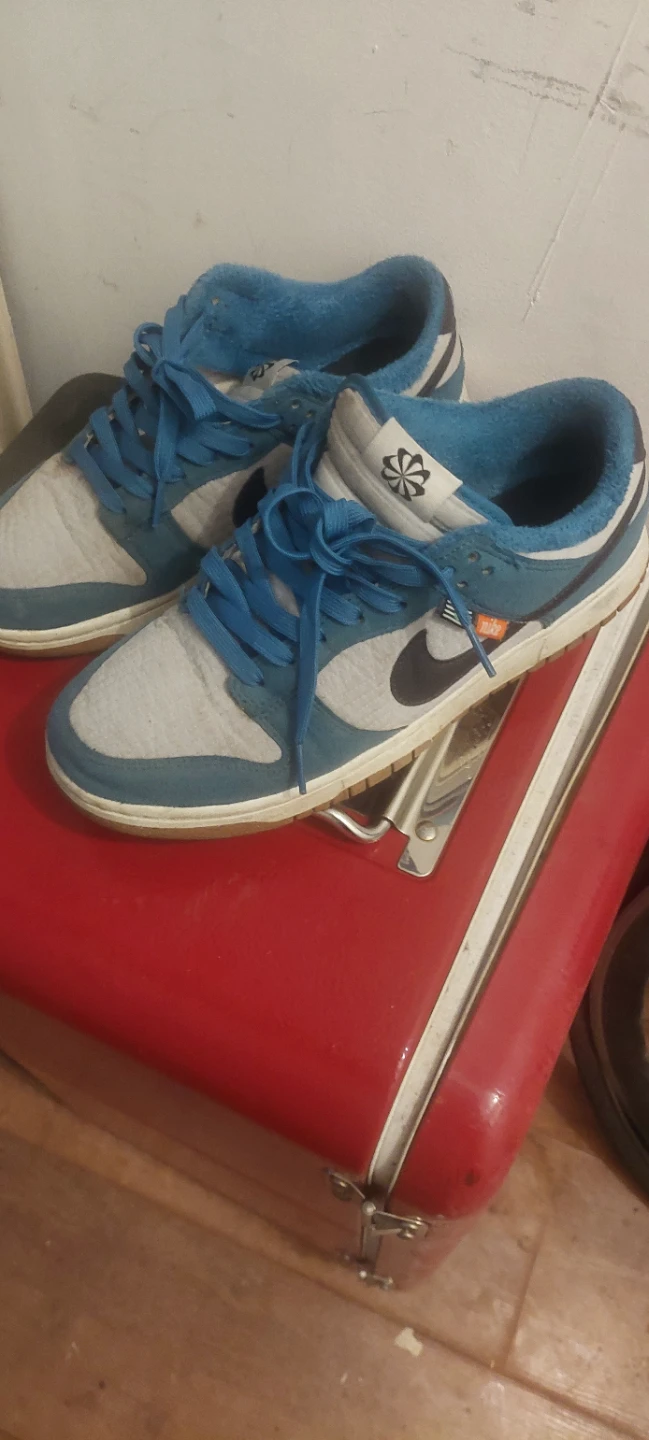 Nike Dunk Low Shoes