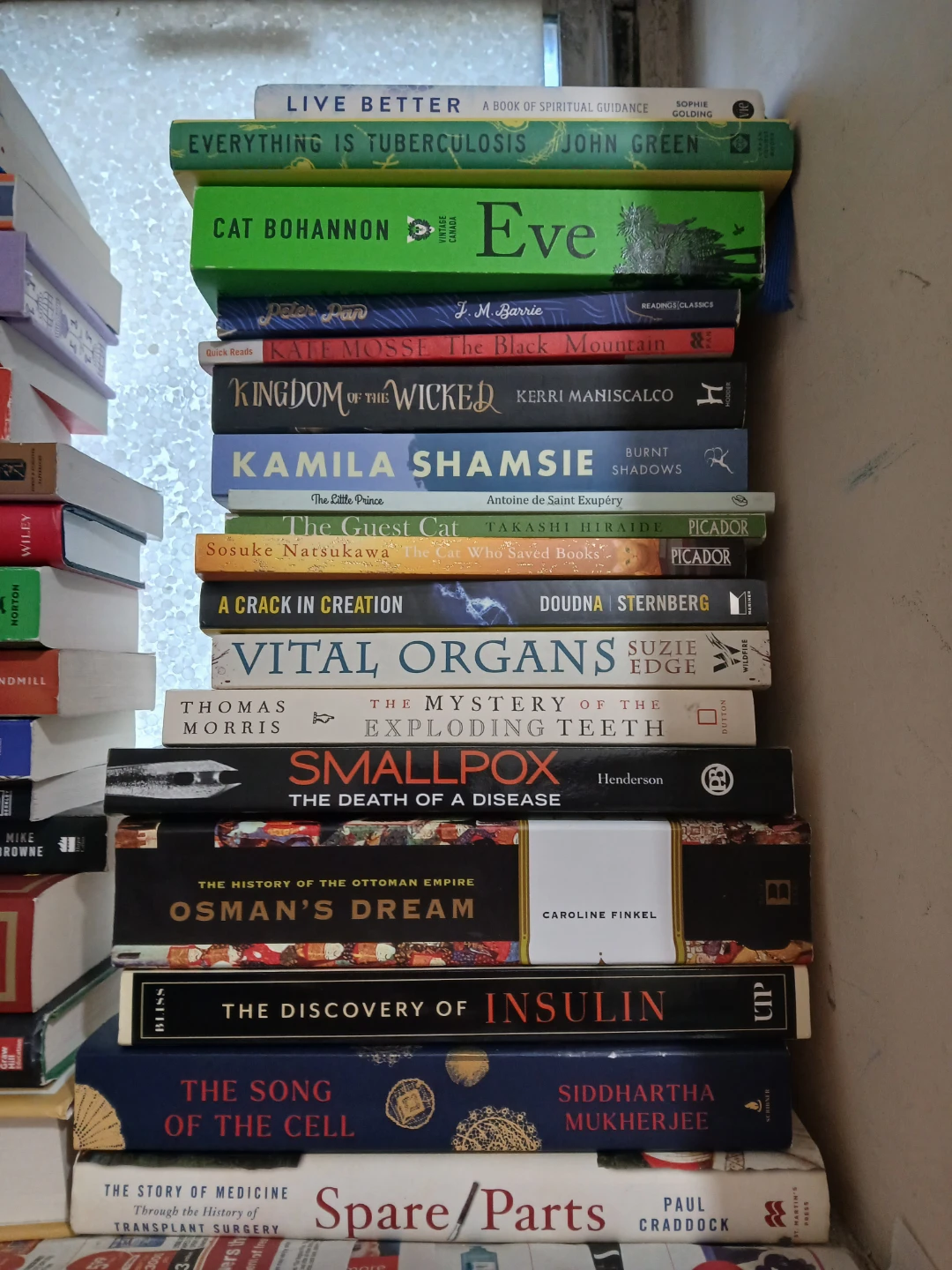 Stack of Books - Various Authors - photo 2