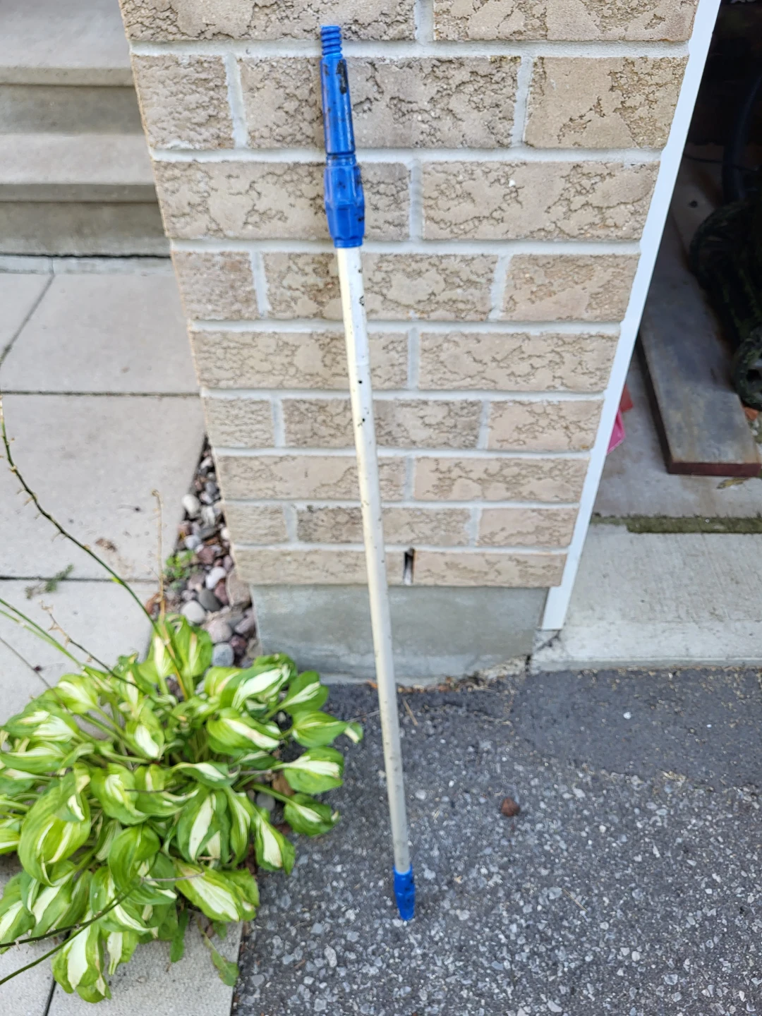Extendable Pole with Blue Handle