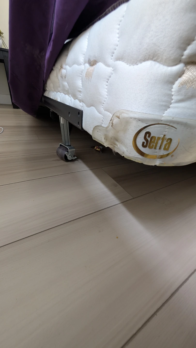 Queen Mattress, box spring, stand for sale - Serta Firm Mattress