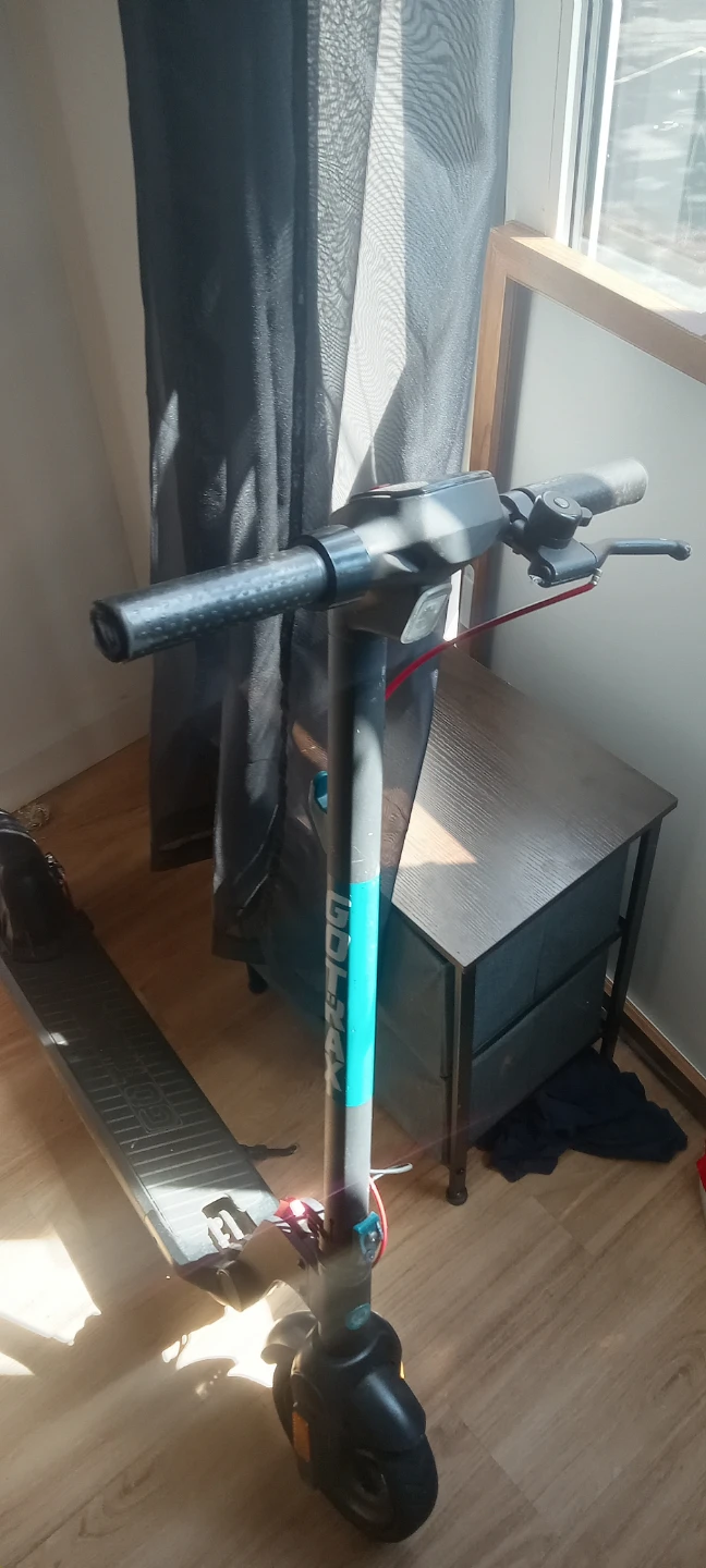 Gotrax Electric Scooter