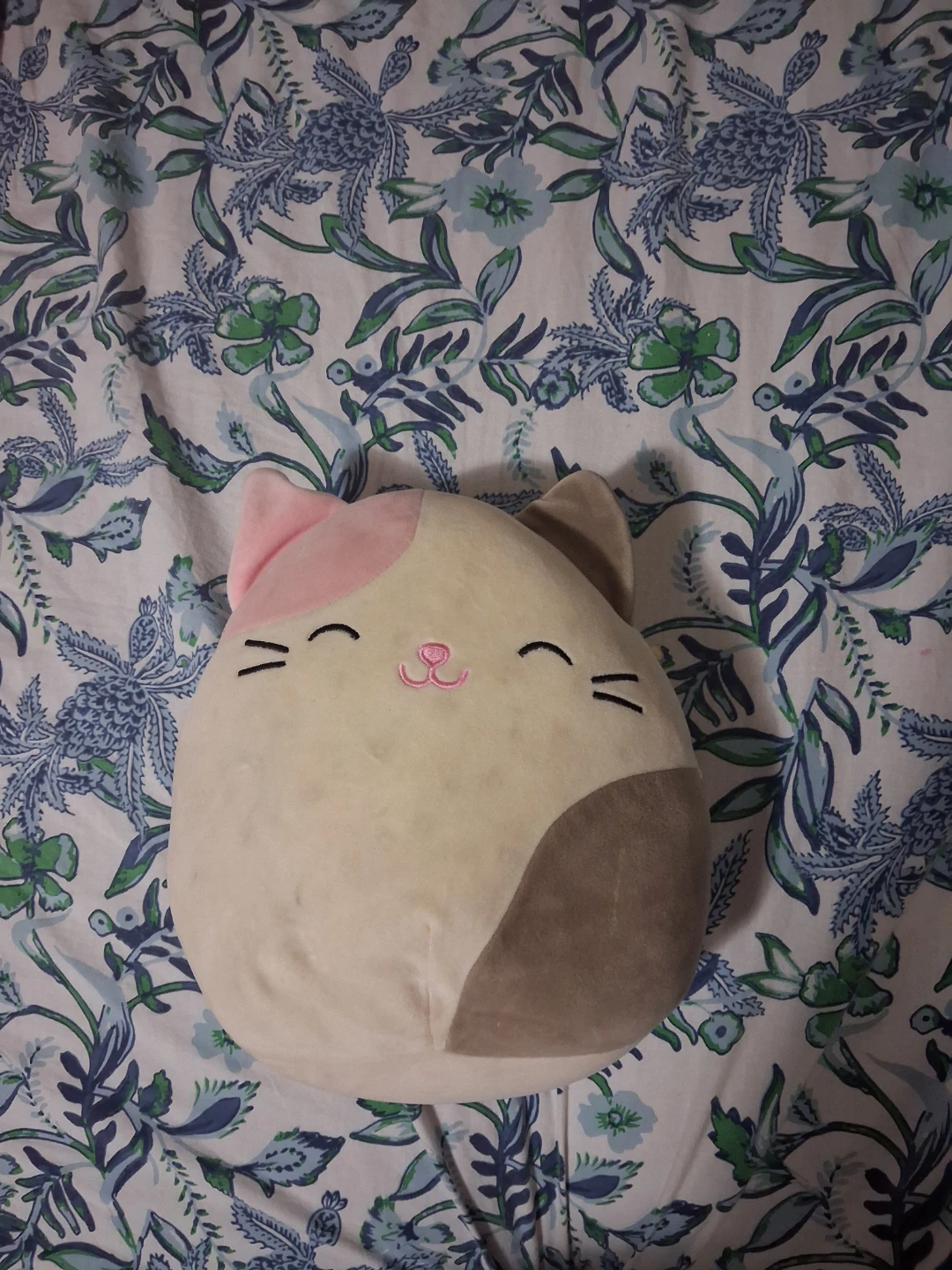 Branded Squishmallow cat stuffy/pillow