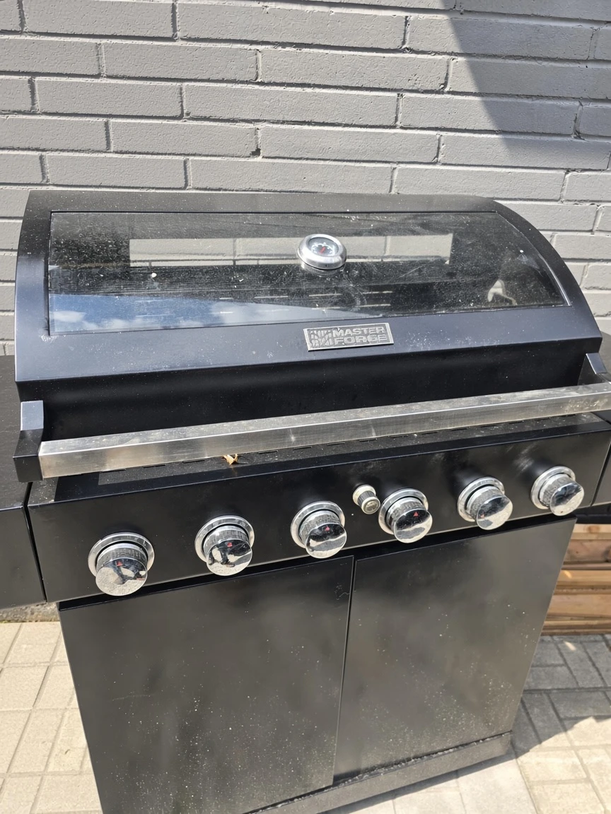 Master Forge 6-Burner Natural & Propane Grill