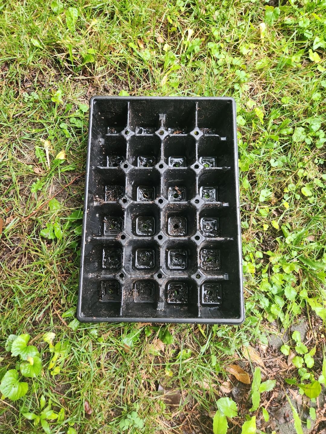 Free Seedling Tray Starter Pots