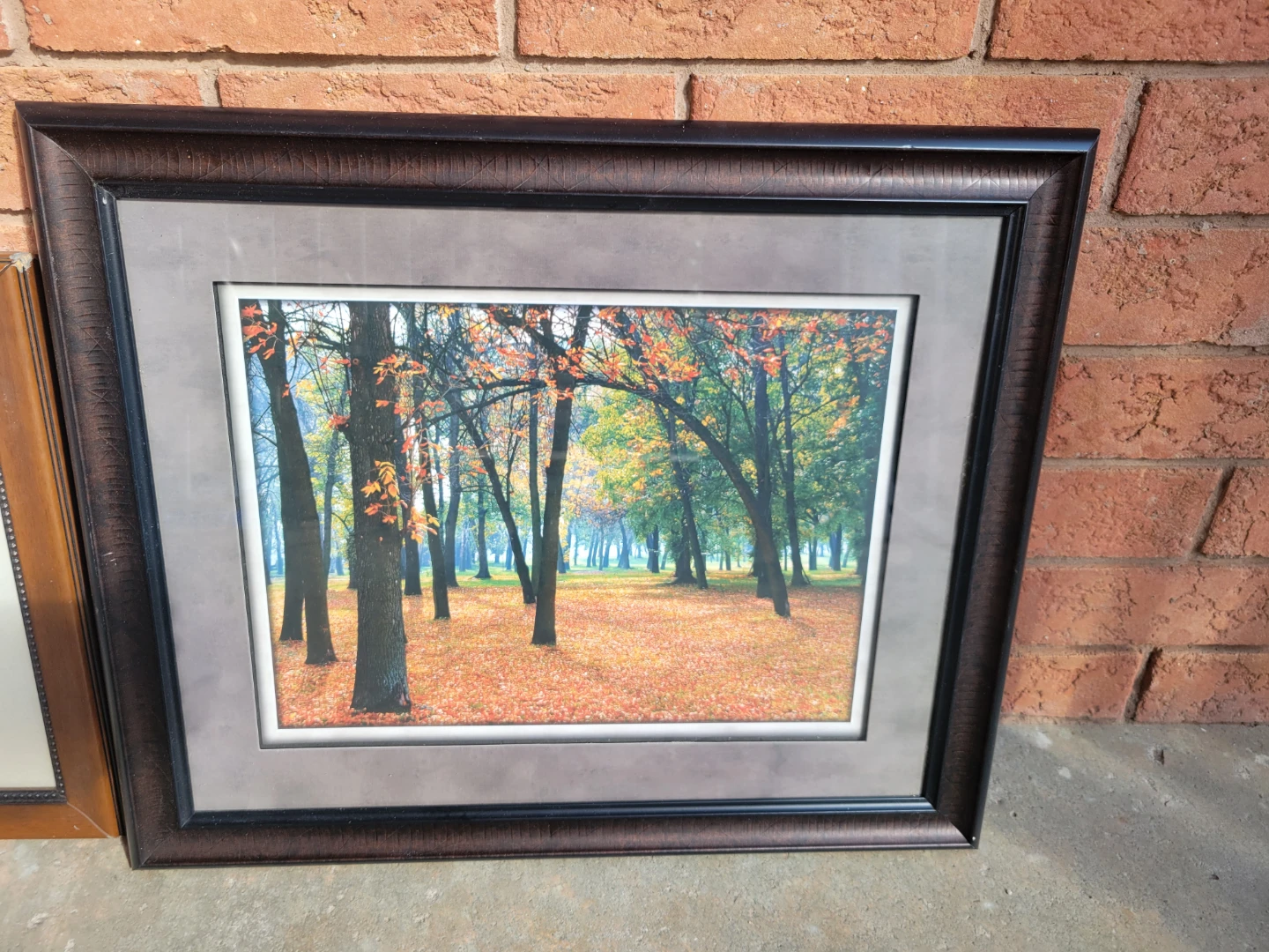 Framed Autumn Forest Print