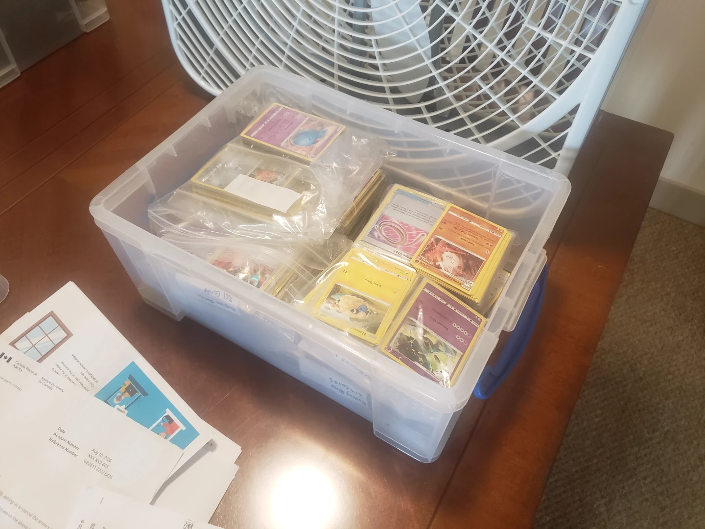 Pokemon Collection