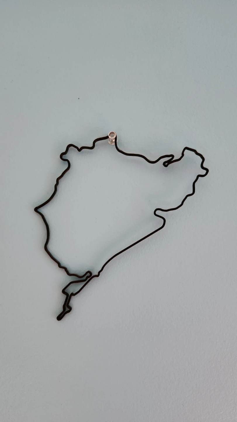 3D Printed Racetracks - photo 2