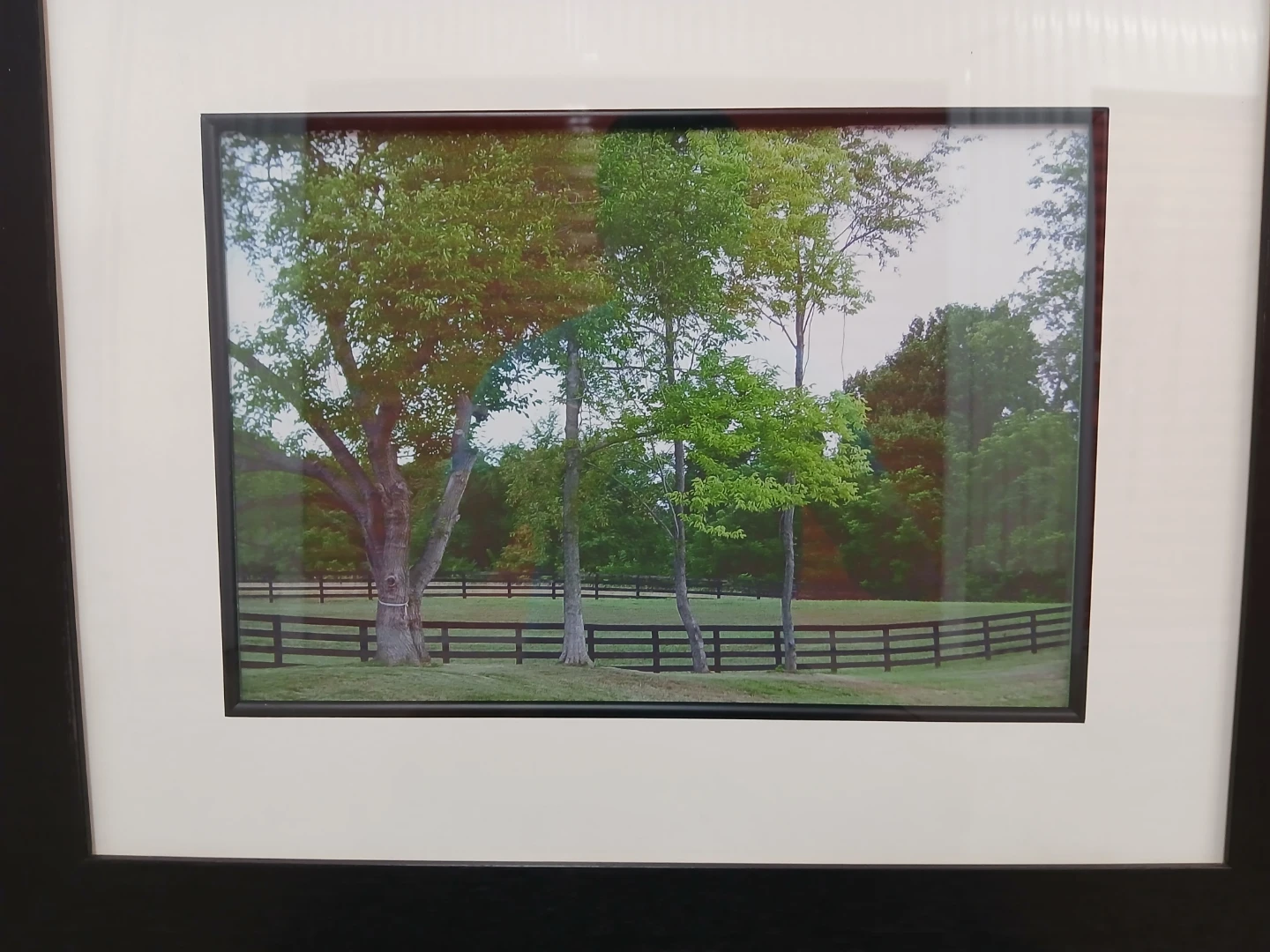 Framed Landscape Picture with Trees and Fence - photo 4