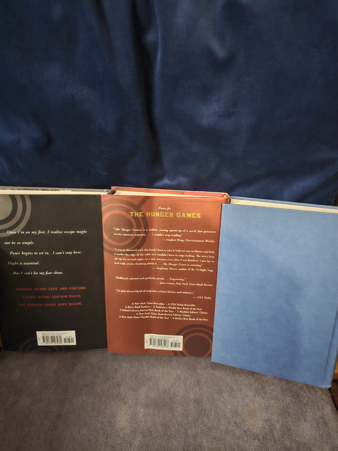 Suzanne Collins The Hunger Games Trilogy Box Set - photo 3