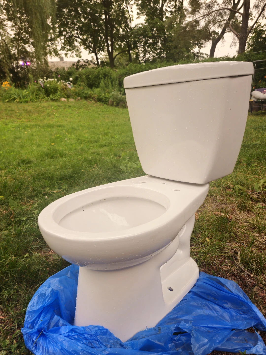 White Toilet Bowl