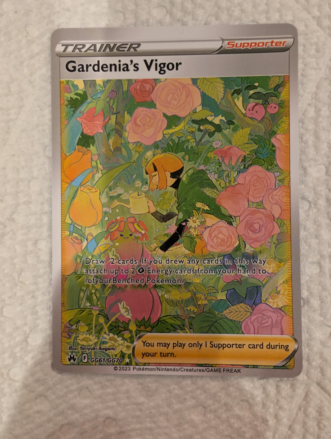 Gardenia's Vigor Crown Zenith: Galarian Gallery - photo 4