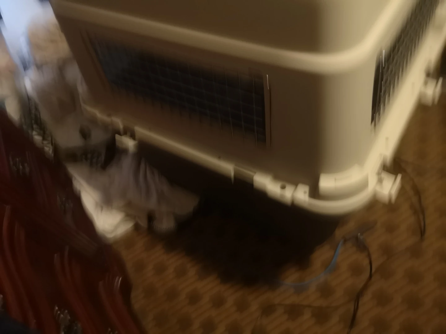 Large dog crate - photo 3