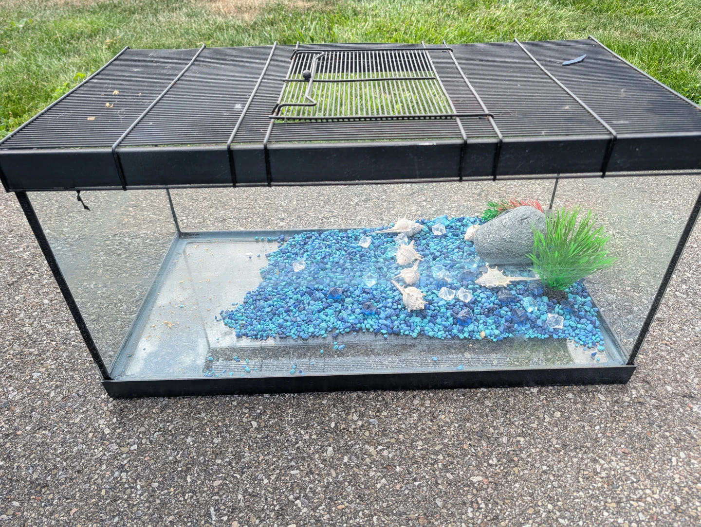 Aquarium Tank with Gravel and Decorations