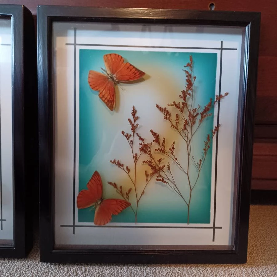 Framed Butterfly and Botanical Art - Set of 3 - photo 5