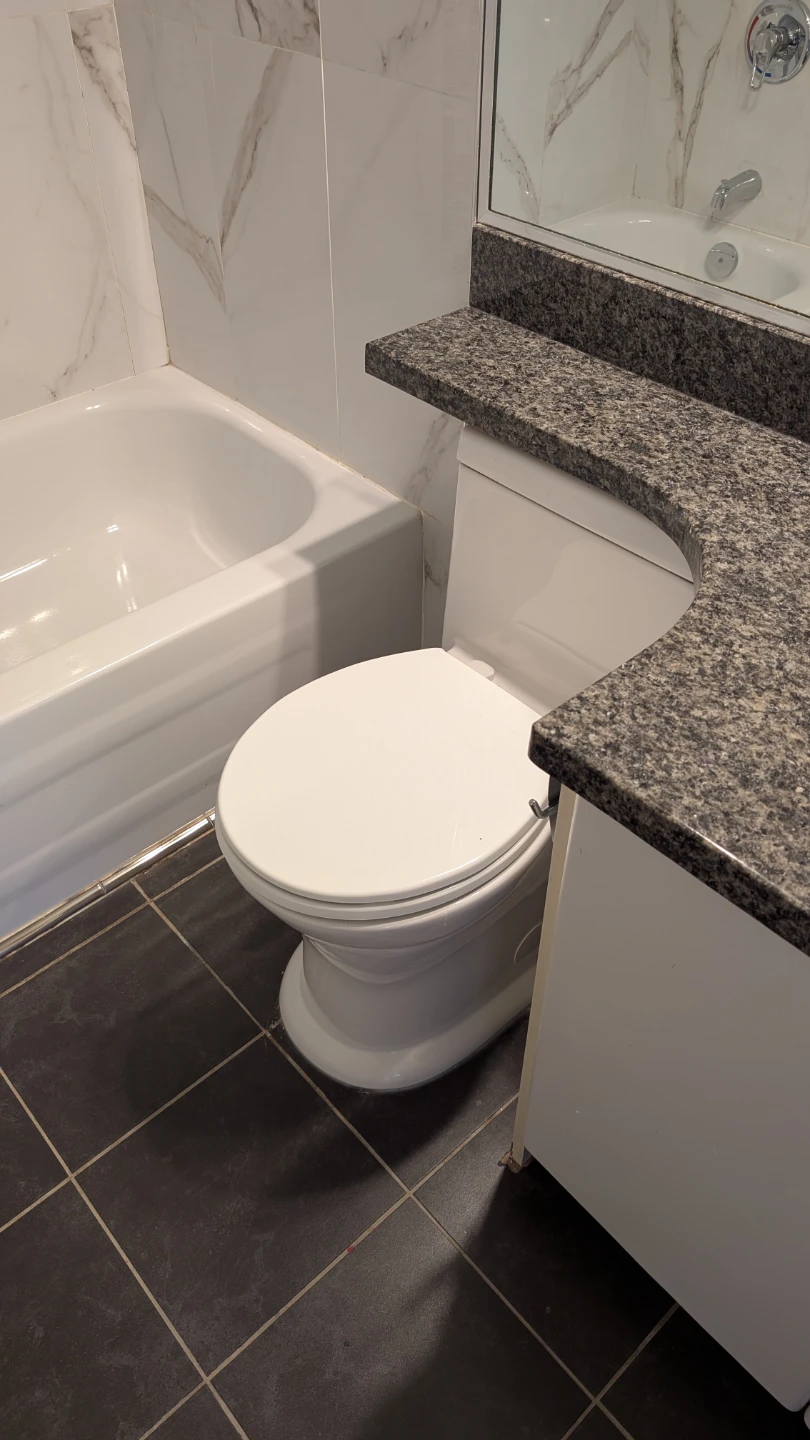 White One-Piece ProjectSource Toilet - photo 2