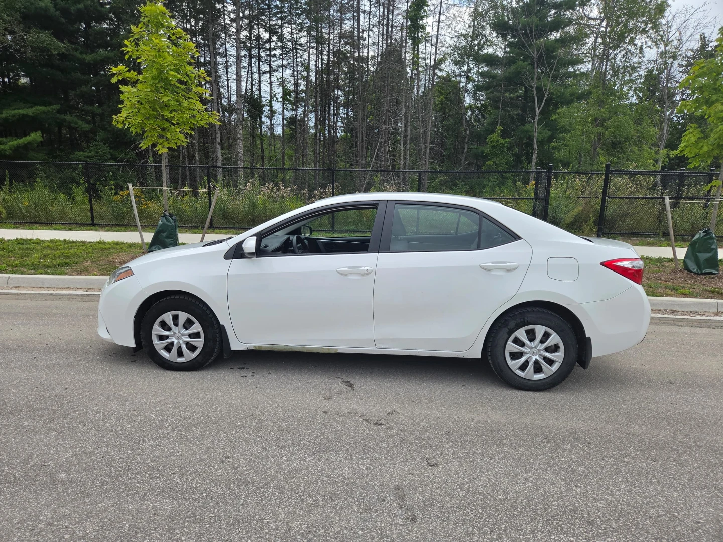 Toyota corolla White