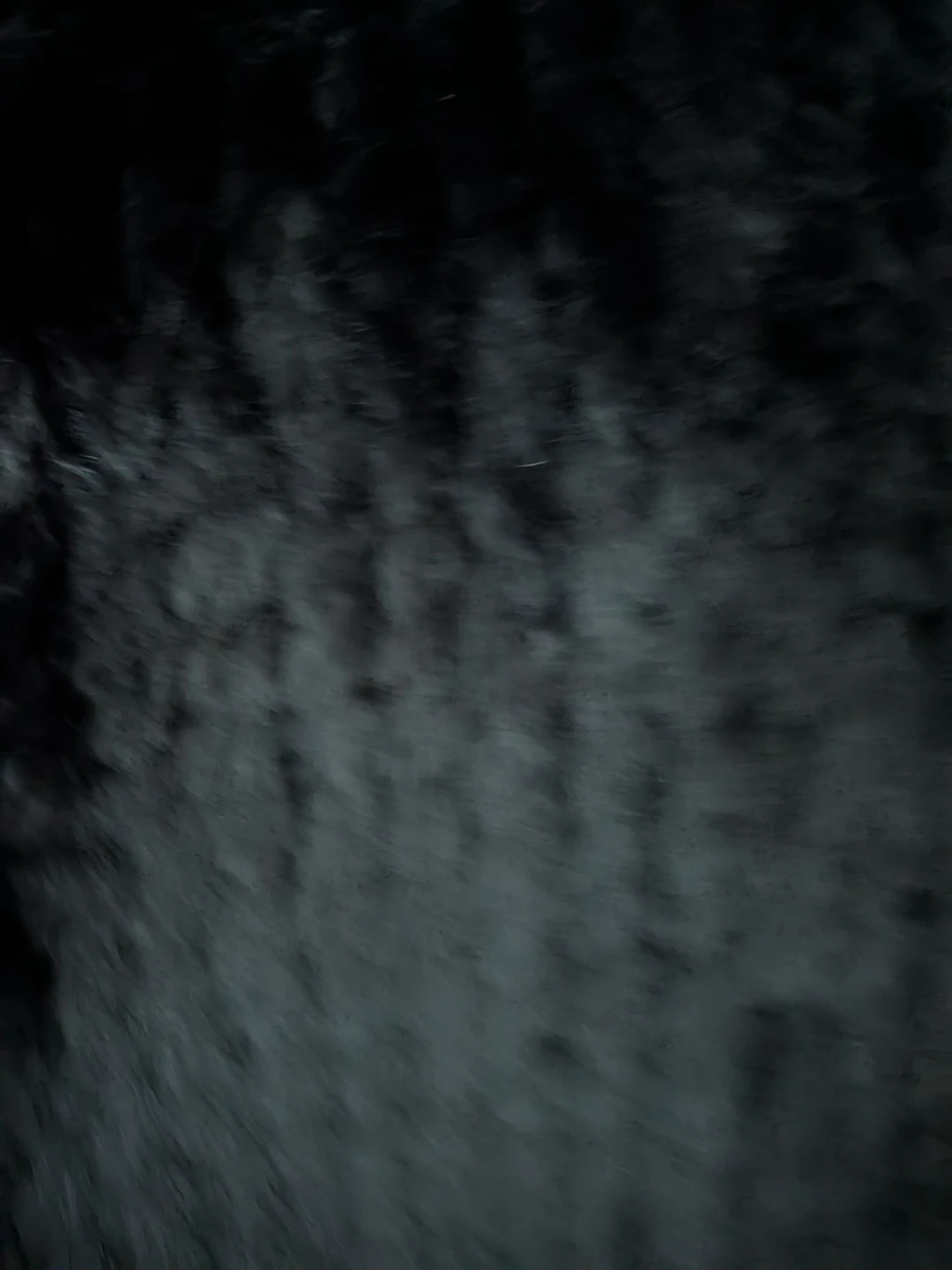 Black Faux fur Vest - photo 3
