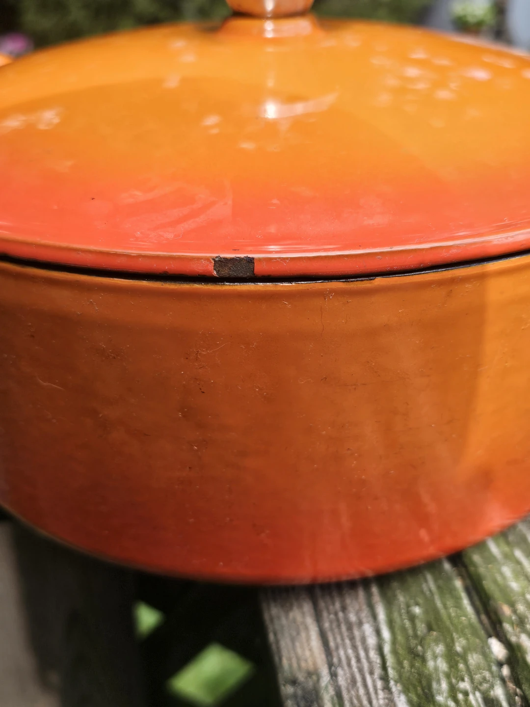 Lagostina Dutch Oven - photo 4