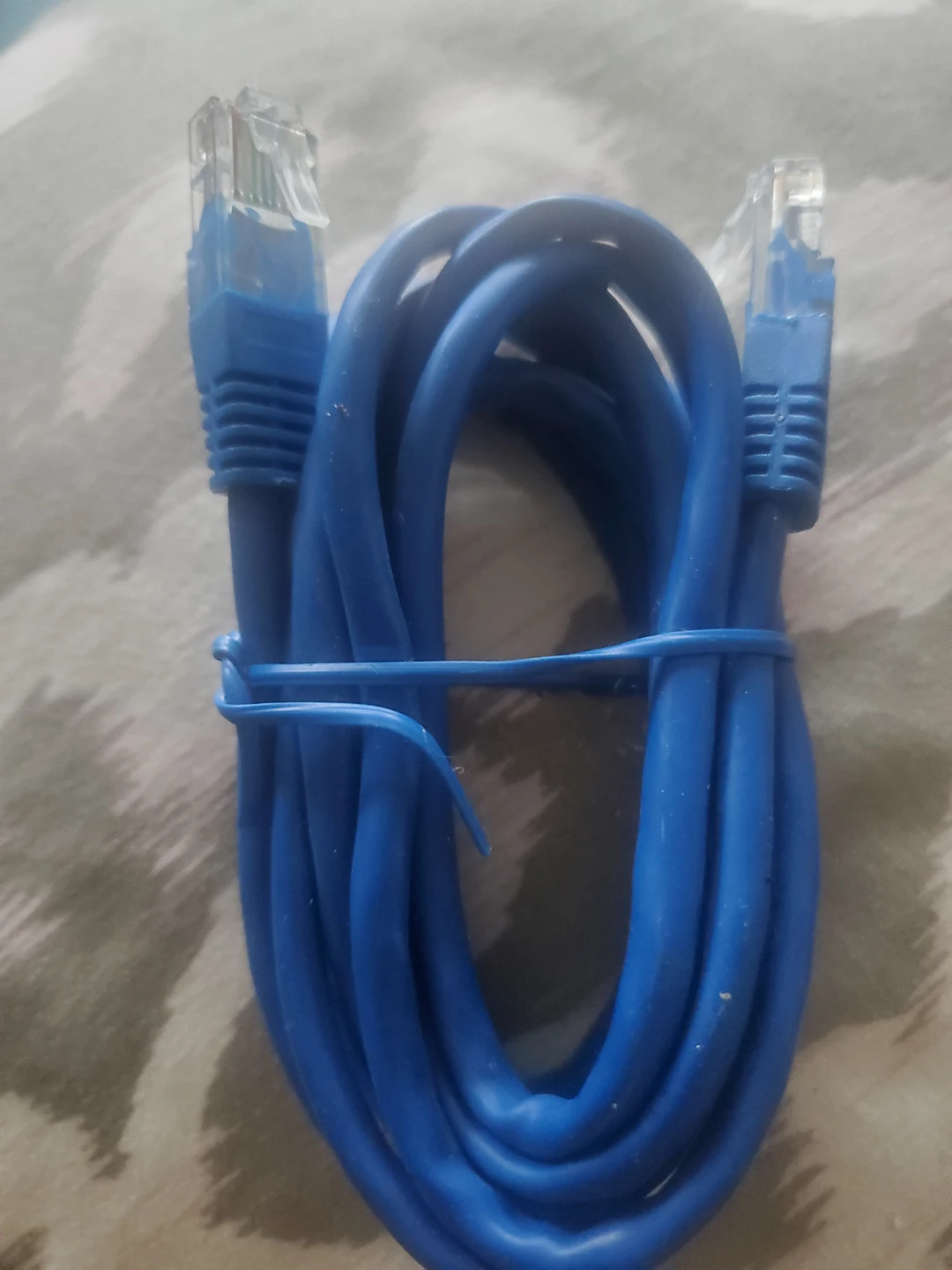 Blue Ethernet Cable