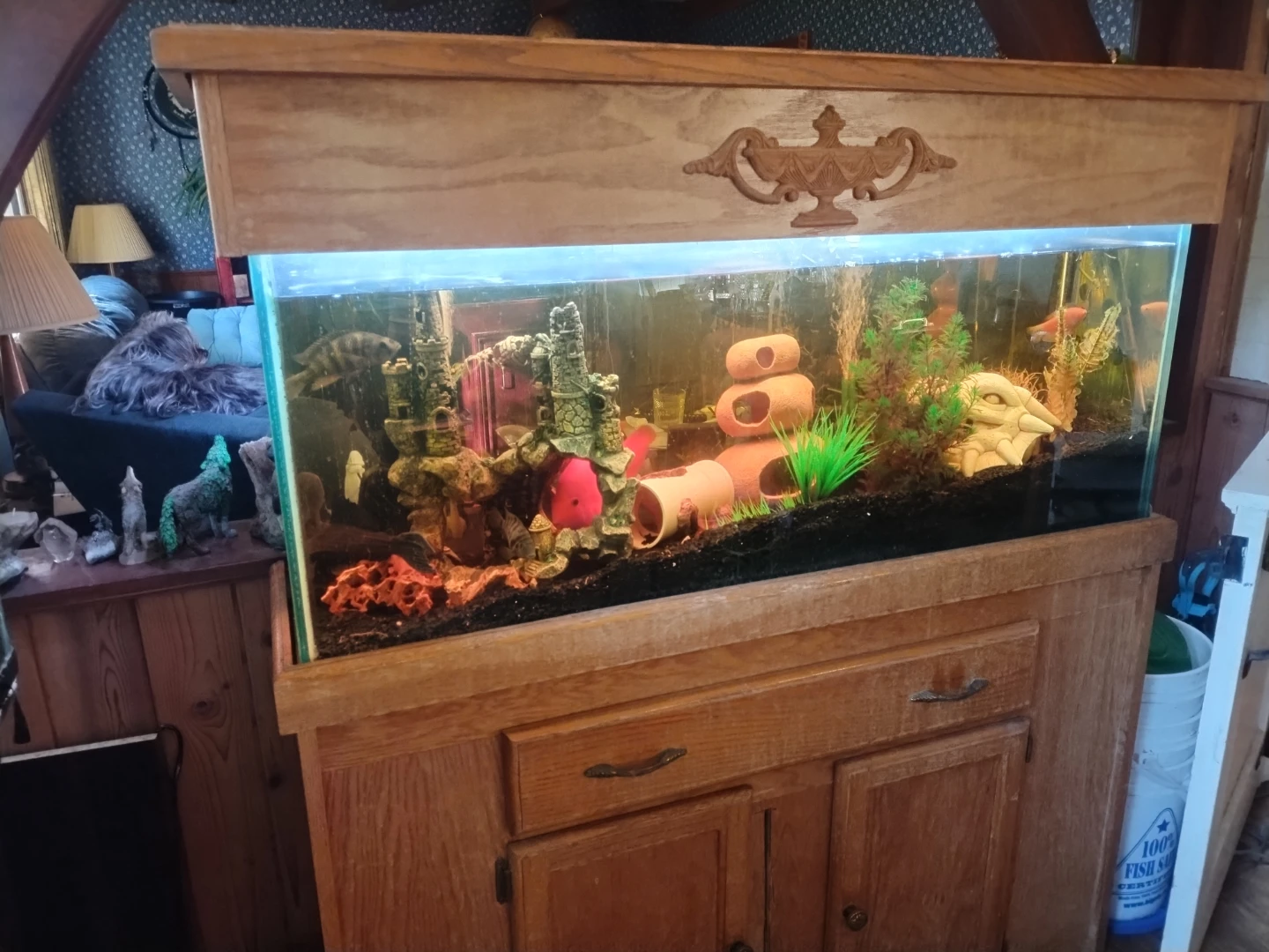 Large Aquarium with Stand and Accessories