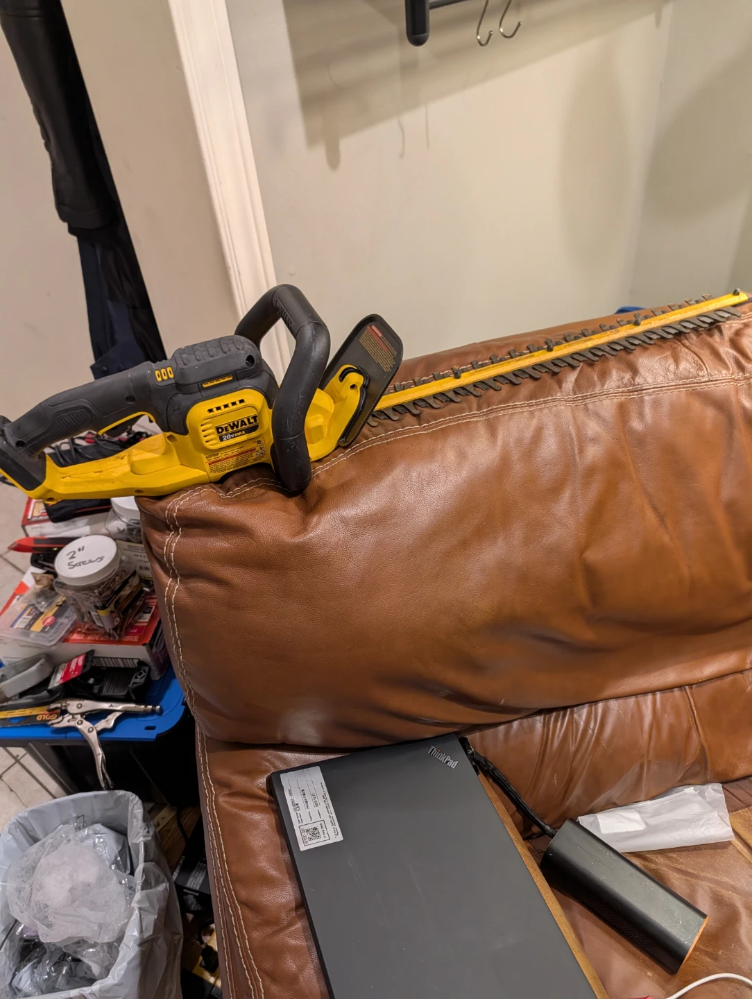 DeWalt DCHT820 20V MAX Hedge Trimmer