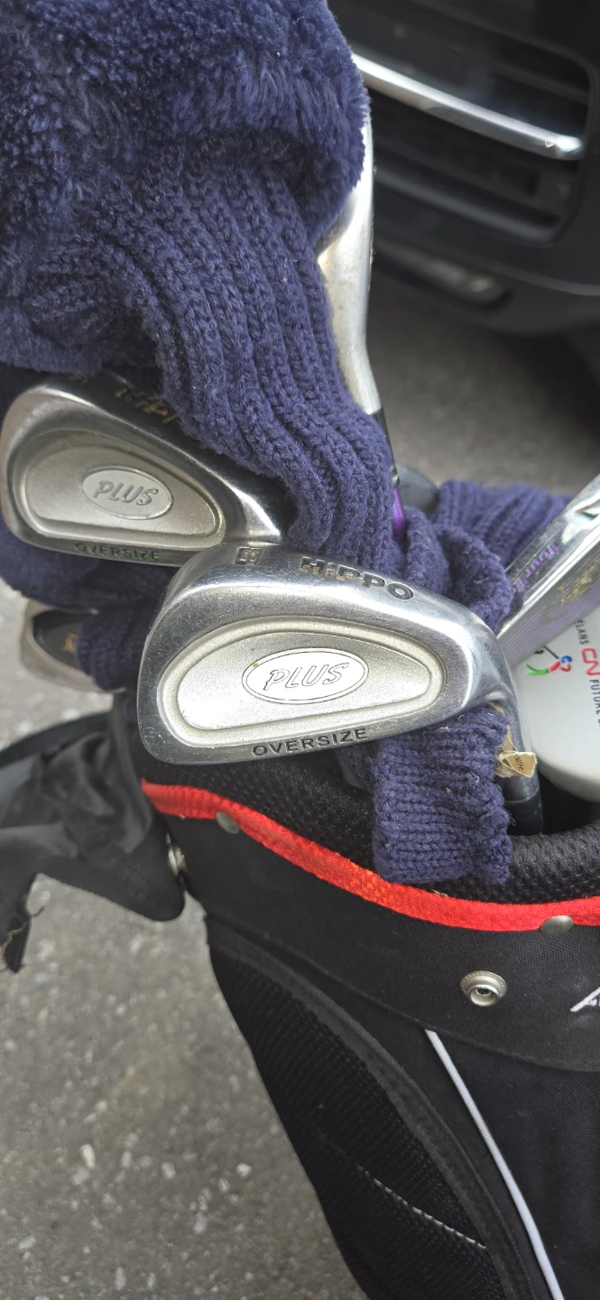 Golf Club Set with Oversize Irons and Golf Bag - photo 3