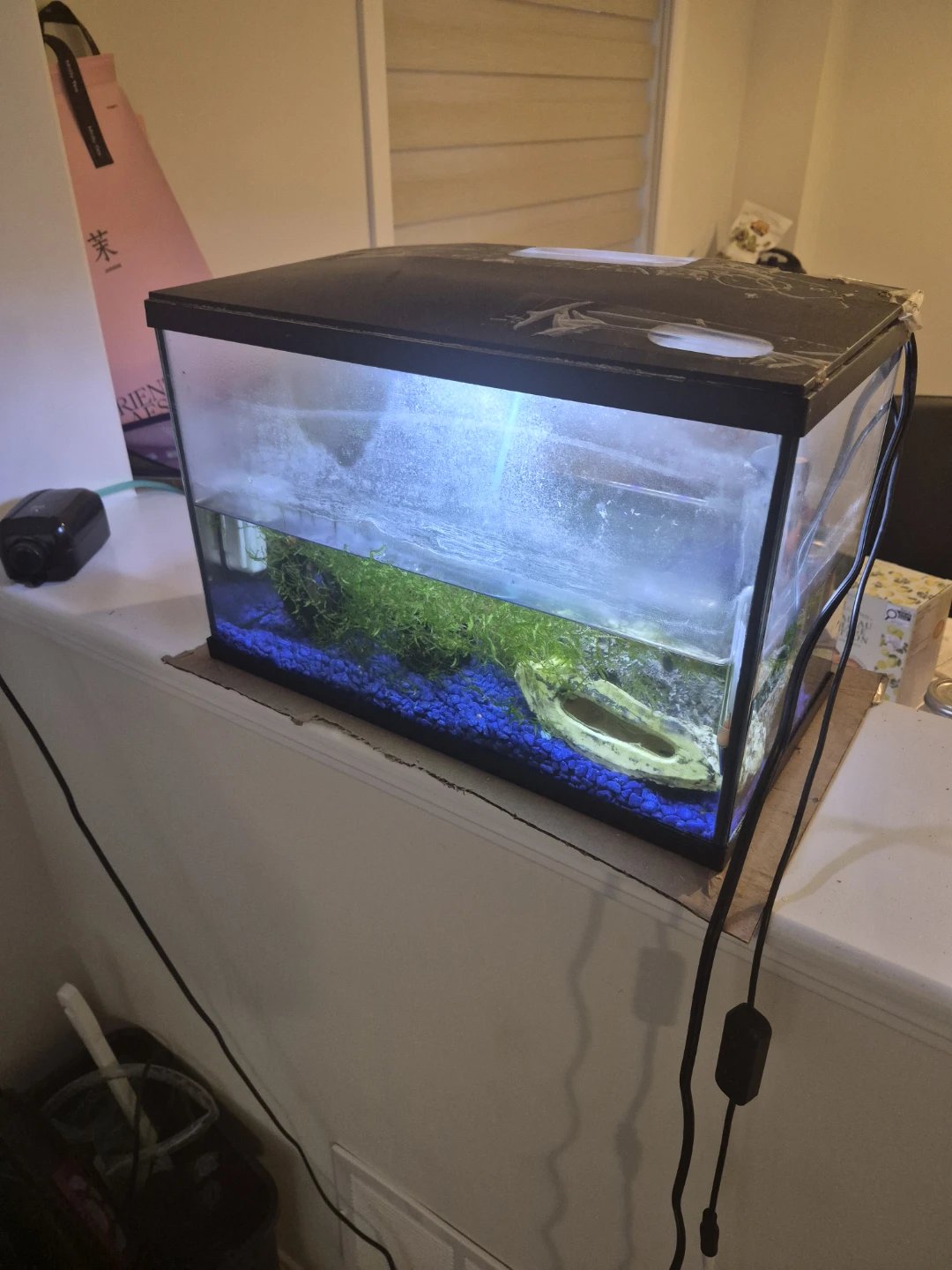 2 Aquarium Tank with Light  and accessories