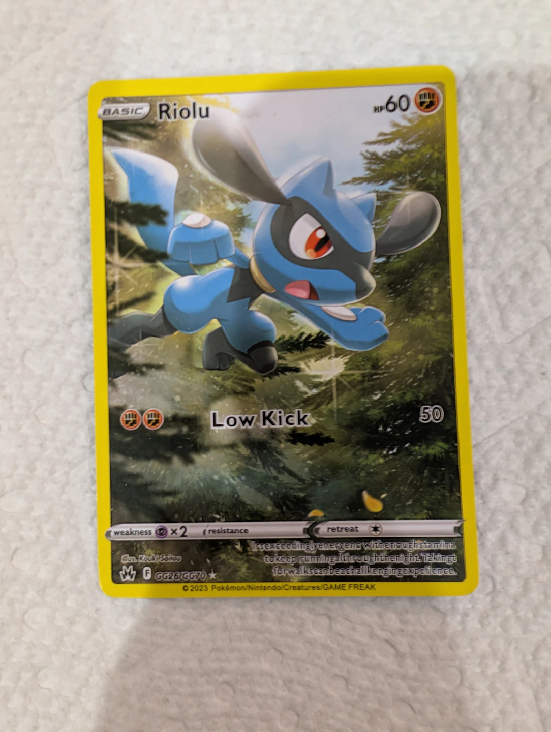 Riolu - SWSH - Crown Zenith : Galarian Gallery ( CRZ : GG ) - photo 2