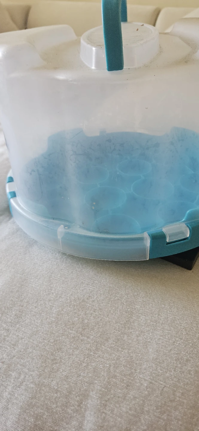 Clear Plastic Cake Carrier with Teal Handle - photo 2