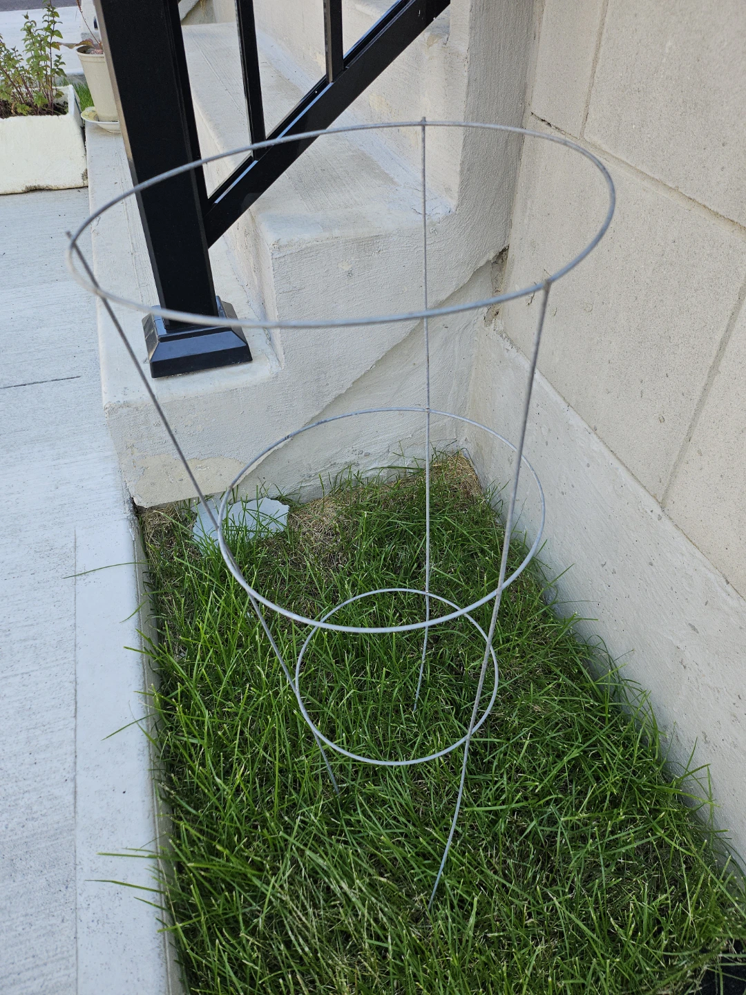 Metal Plant Support Cage