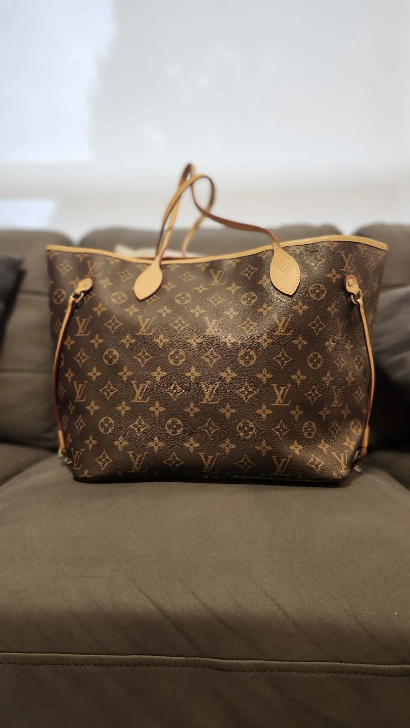 Louis Vuitton Monogram Speedy Bag