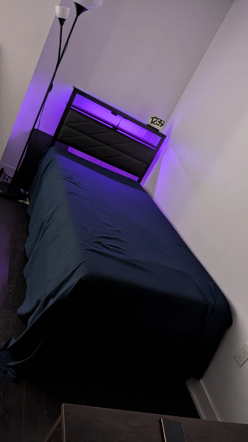 Single Bed Frame with LED Headboard - photo 5