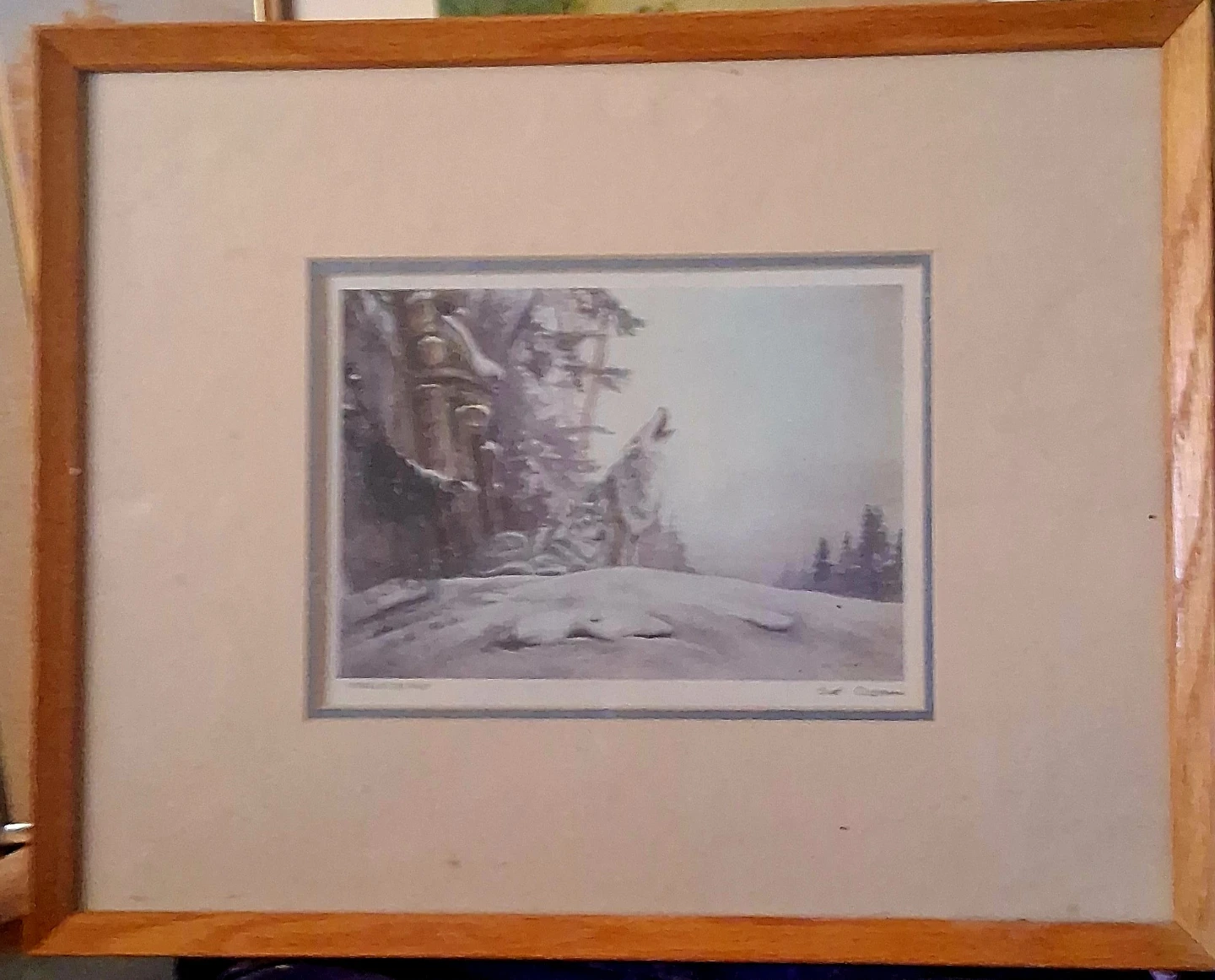 Wolf Print- Artist=Sue Coleman(TORCH OF THE WOLF)