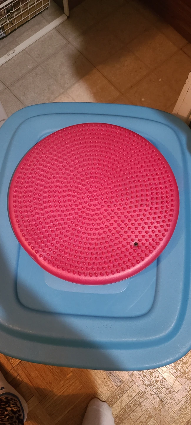 Balance Disc Wobble Cushion - photo 2