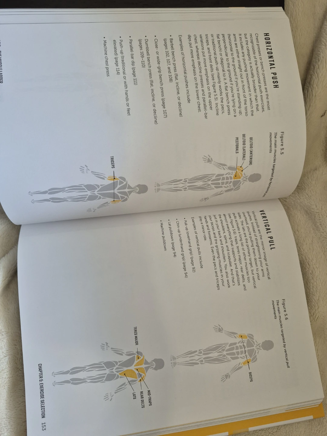The Muscle Ladder: Get Jacked Using Science by Jeff Nippard - photo 4