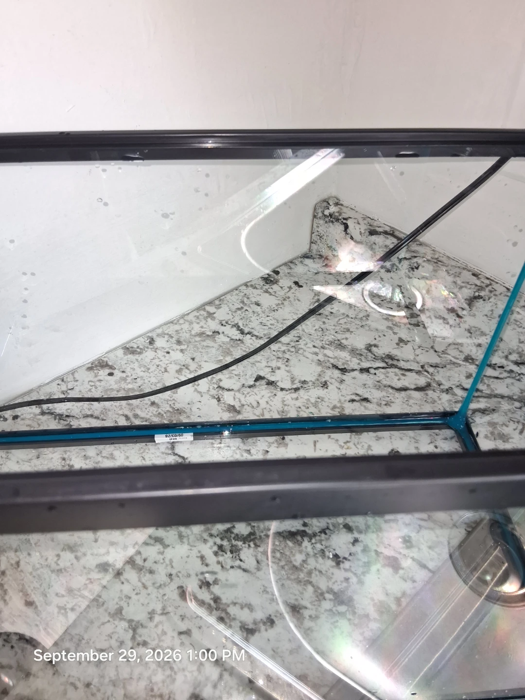 10 gallon Glass Aquarium Tank - photo 4