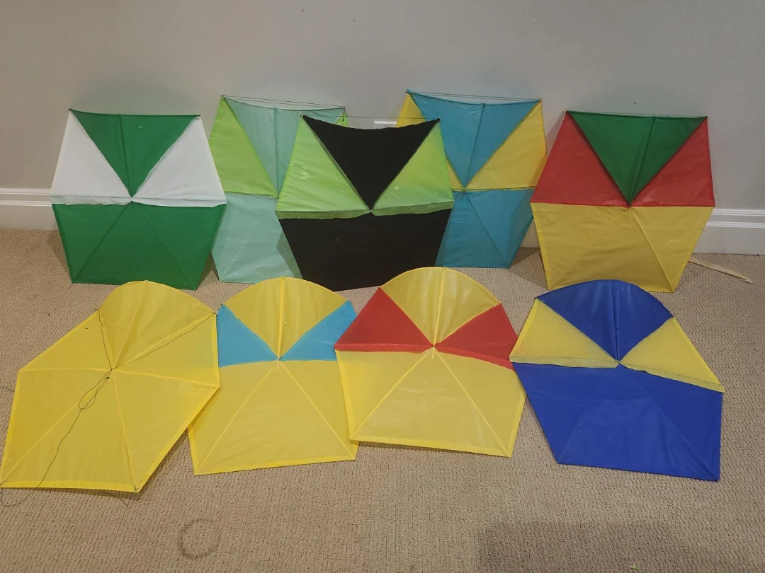 Greenz Kites(Homemade)