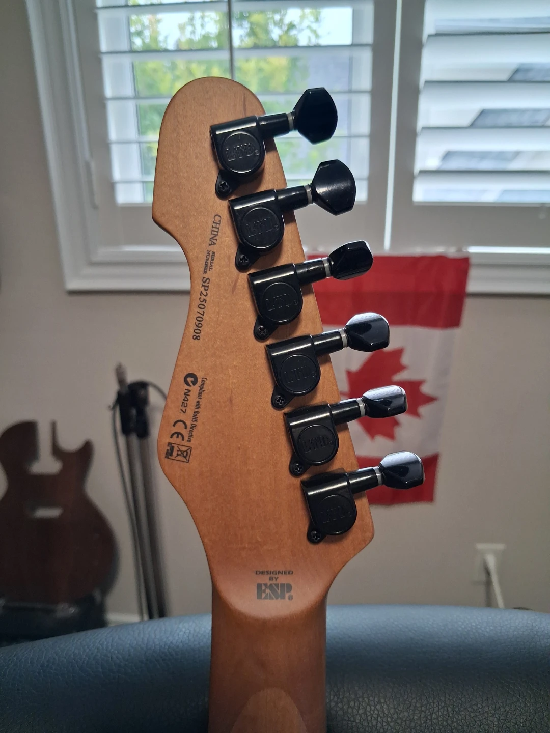 Guitar - photo 5