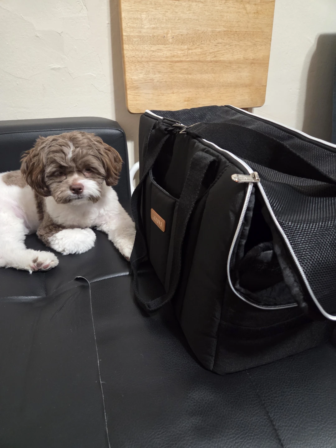 Becini Pet Carrier - photo 4