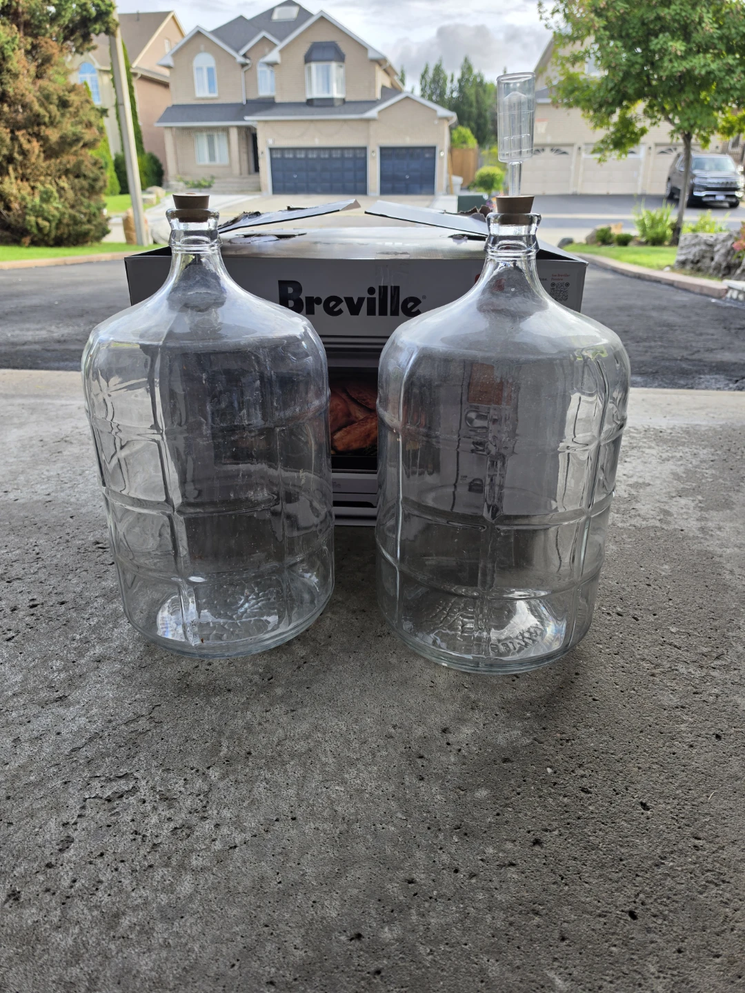 Two 1 Gallon Glass Carboys - photo 2