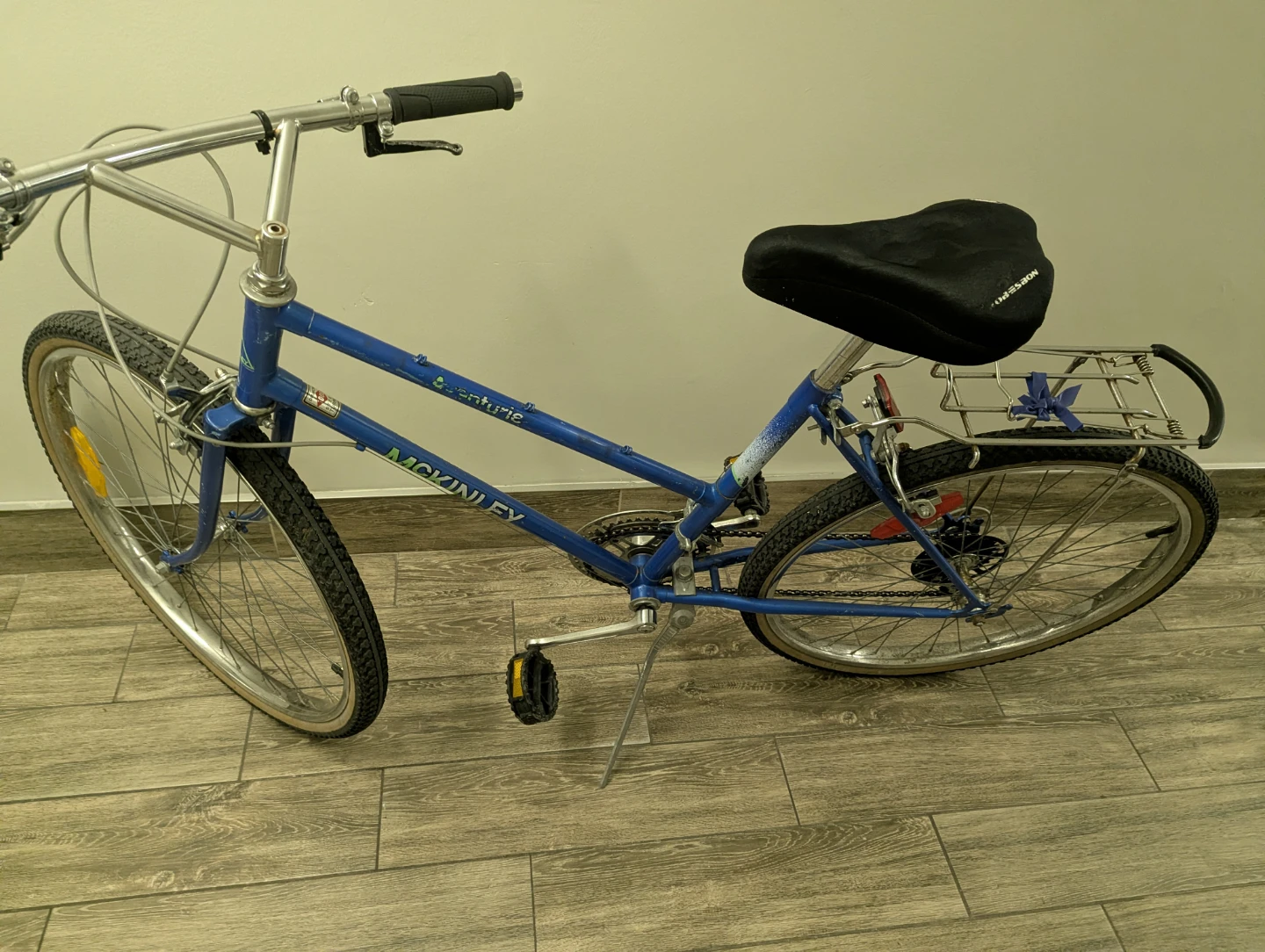 McKinley Aventurie Bicycle
