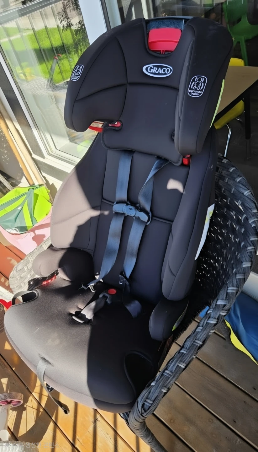 Graco Tranzitions Child Restraint