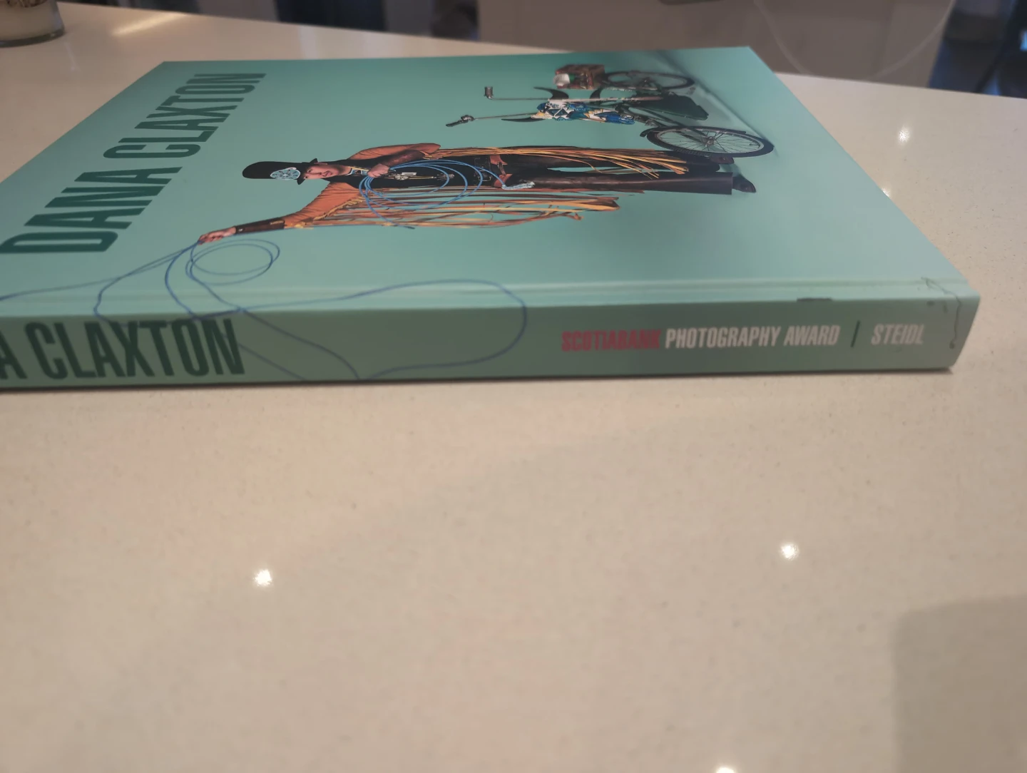 Dana Claxton Photography Award Book - photo 2