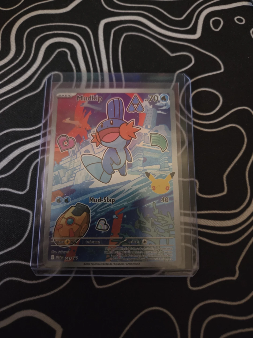 Mudkip 057 🏈