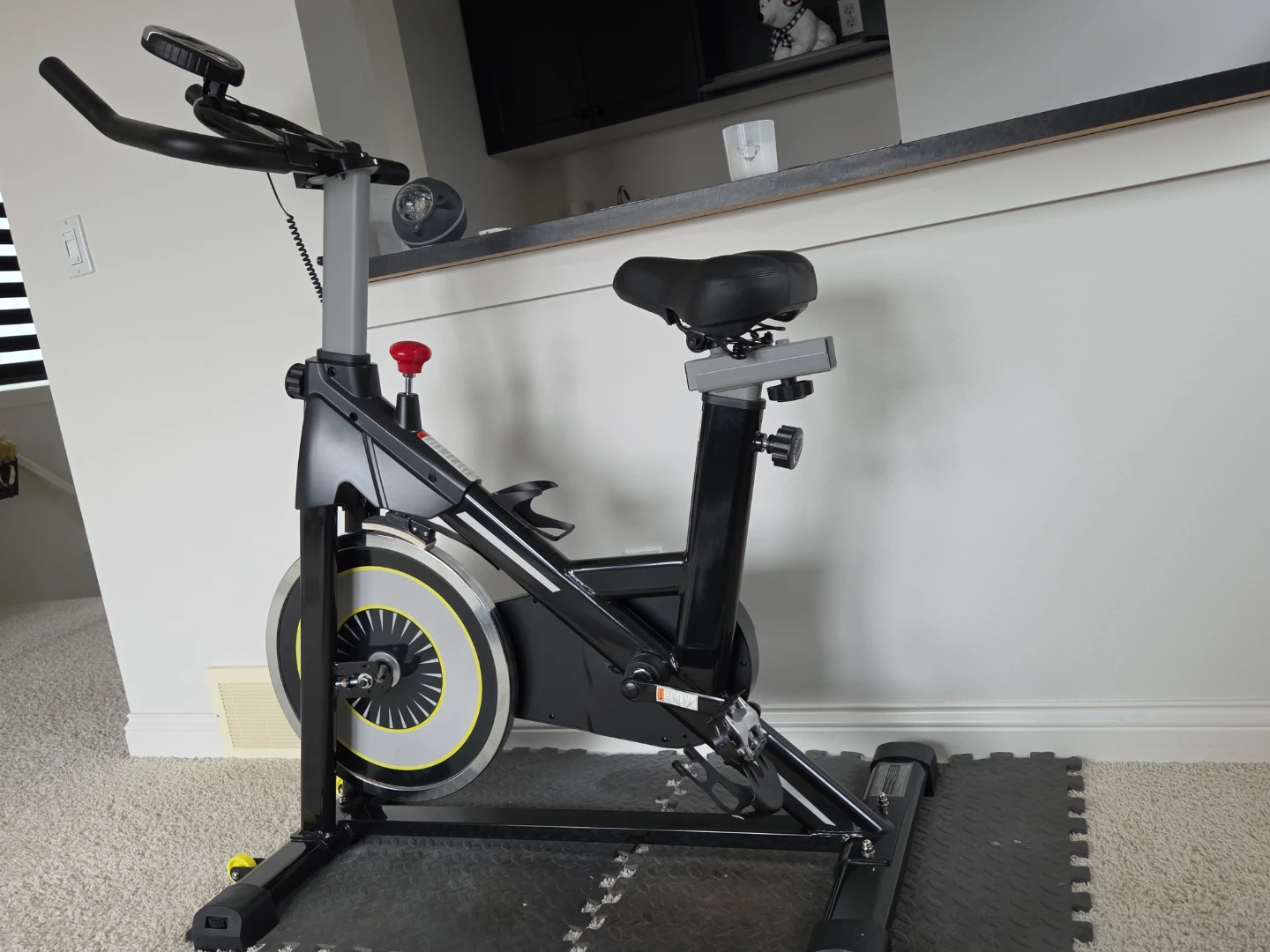 Stationary Exercise Bike