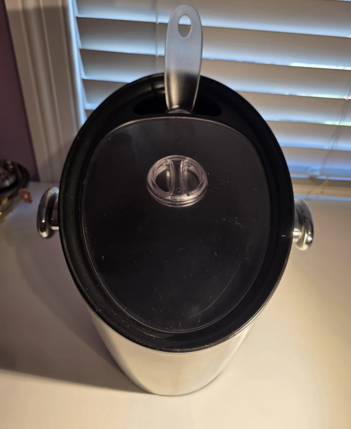 Michael Graves Desighn Stainless Steel Ice Bucket