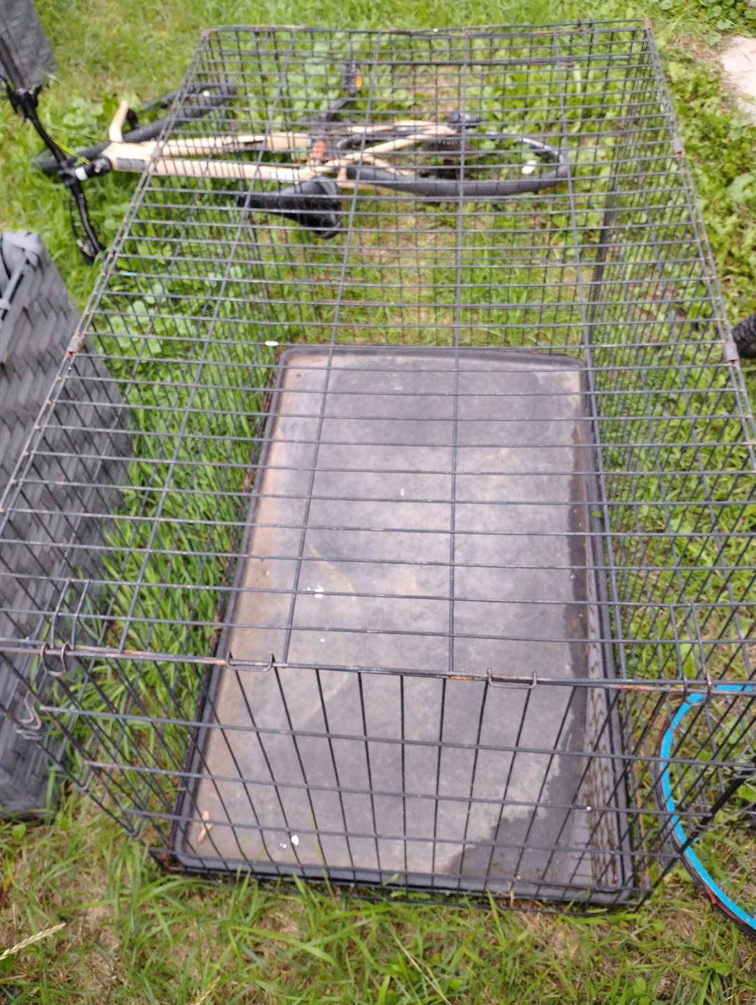 Large Wire Dog Crate